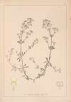 Herbier de la flore française Pl.0623
