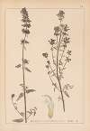 Herbier de la flore française Pl.0814