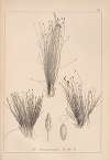 Herbier de la flore française Pl.1220