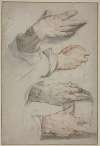 Four studies of a right hand