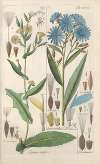 Botanisches Handbuch Pl.05