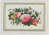 Bouquets of flowers Pl.03