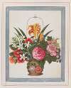Bouquets of flowers Pl.13