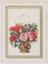 Bouquets of flowers Pl.18
