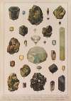 Historya naturalna w obrazach Pl.19