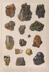 Historya naturalna w obrazach Pl.21