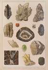 Historya naturalna w obrazach Pl.22