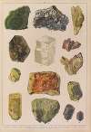 Historya naturalna w obrazach Pl.23