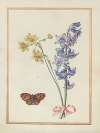 Collection of flower drawings Pl.07