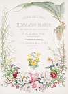 Illustrations of Himalayan plants…, [Title page]