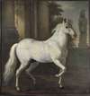 Karl XI’s horse Brilliant