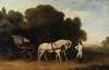 Phaeton with a pair of cream ponies and a stable-lad