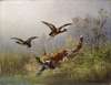 Fox Chasing Ducks