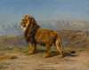 Lion in a mountainous landscape