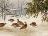 Partridges In Snow