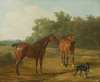 Two Horses And a Greyhound In A Landscape