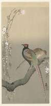 Pair of pheasants and cherry blossom