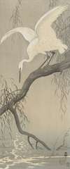 White heron on tree branch