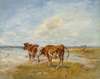 Cows On The Beach, Sketch