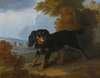 Portrait Of A King Charles Spaniel In A Landscape