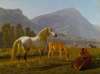 Alpine Landscape With Horses