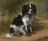 Portrait Of A King Charles Spaniel
