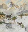 Chamois in a Winter Landscape