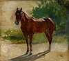 Brown Horse, Study