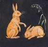 To harer (kaniner) på sort baggrund. Dekorativt udkast
