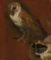 Study of an owl, with a fragmentary study of a monkey