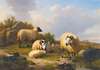 Sheep In A Scottish Landscape