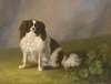 Portrait Of A King Charles Spaniel In A Landscape