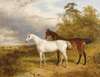 A Bay And Grey Horse In A Landscape