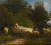 Sheep Grazing Along A Hedgerow