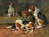 Beagles – Fathers Of The Pack