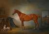 Lord Henry Bentinck’s Chestnut Hunter Firebird And Policy, A Foxhound, In A Loose Box