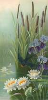 Bird flying over water with cat tail plants, Irises and water lilies