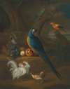 A macaw and other birds in a landscape