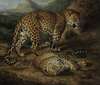 Two leopards