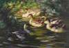 Sechs Enten auf dem Wasser unter Ufersträuchern