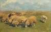 Schafherde mit Hütehund auf der Weide