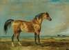 The Marquess Of Londonderry’s Arabian Stallion In A Landscape
