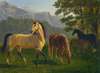 Pferde Vor Landschaft Horses In Landscape