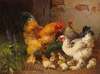 Hahn, Hühner und Küken vor dem Stall auf der Wiese