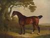 A bay horse tethered to a tree in a landscape