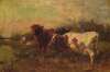 Cows at Pasture