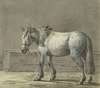Staand paard in een stal, naar links