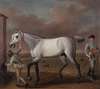 The Duke of Hamilton’s Grey Racehorse ‘Victorious’ at Newmarket