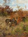 Roe Deer with Autumn Leaves