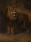 A Lion from the Menagerie of King Louis Napoleon, 1808
